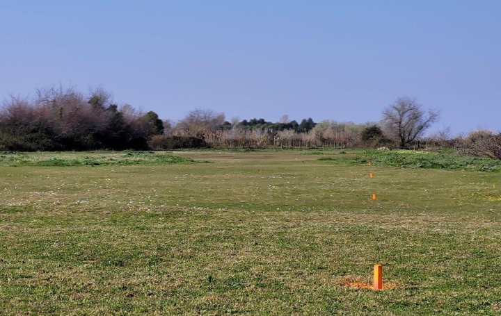 MAESTRA IMMOBILIER : Terrain | SAINTES-MARIES-DE-LA-MER (13460) | 0 m2 | 228 000 € 